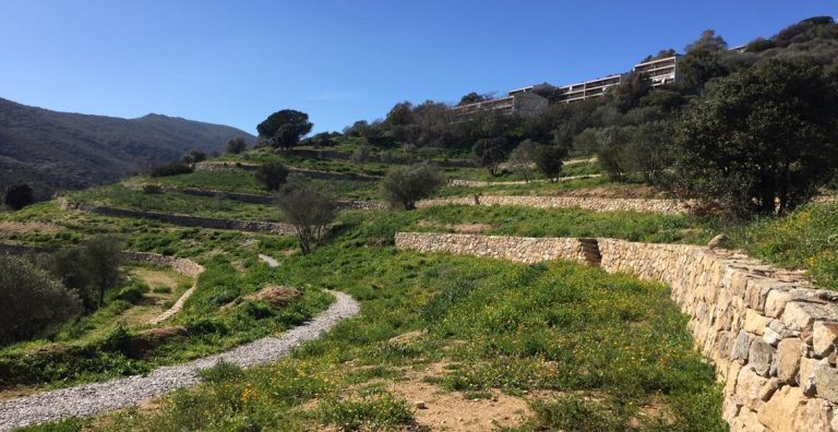 Construction des restanques : Janvier 2022